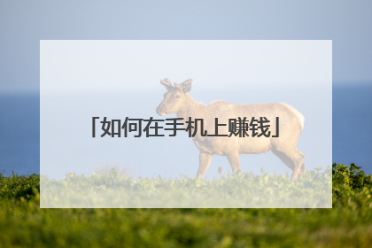 如何在手机上赚钱