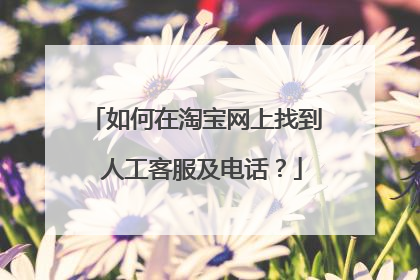 如何在淘宝网上找到 人工客服及电话？