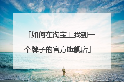 如何在淘宝上找到一个牌子的官方旗舰店