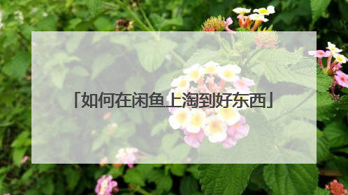 如何在闲鱼上淘到好东西