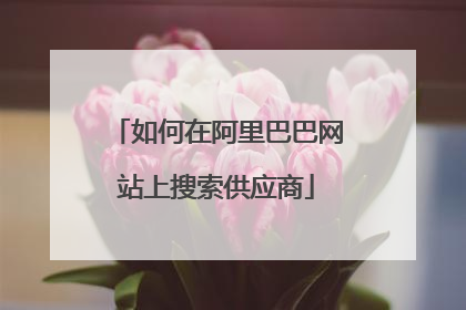 如何在阿里巴巴网站上搜索供应商
