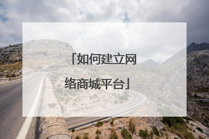 如何建立网络商城平台