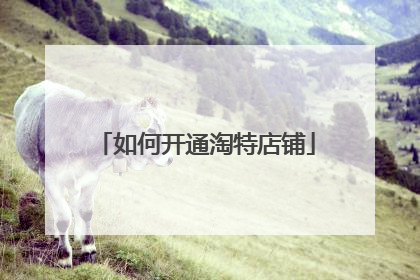 如何开通淘特店铺