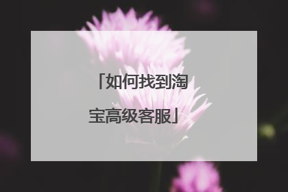 如何找到淘宝高级客服