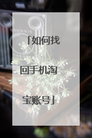 如何找回手机淘宝账号