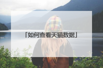 如何查看天猫数据
