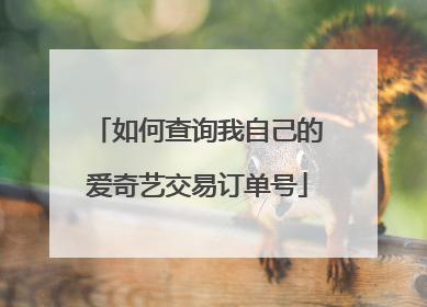 如何查询我自己的爱奇艺交易订单号