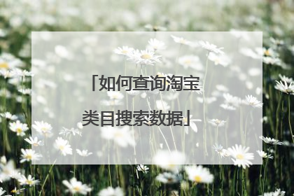 如何查询淘宝类目搜索数据