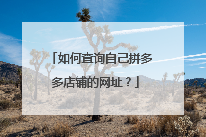 如何查询自己拼多多店铺的网址？