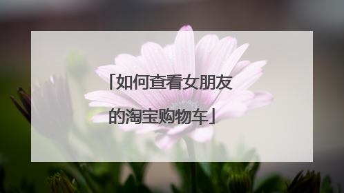 如何查看女朋友的淘宝购物车