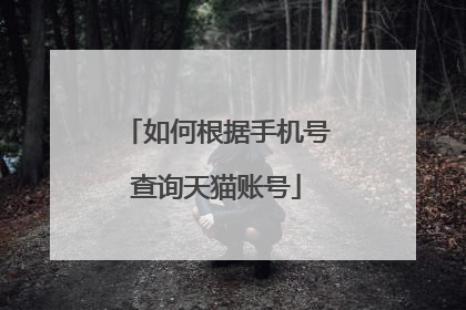如何根据手机号查询天猫账号