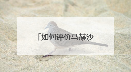 如何评价马赫沙拉·阿里在《绿皮书》中的表现?