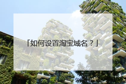 如何设置淘宝域名?