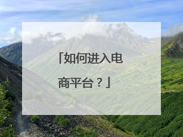 如何进入电商平台?