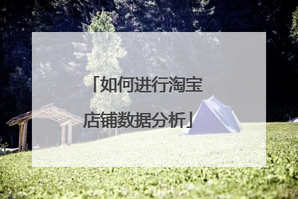 如何进行淘宝店铺数据分析