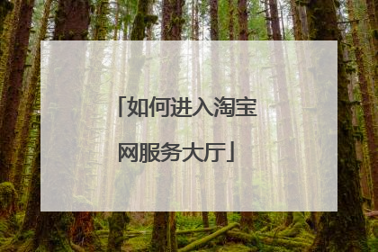 如何进入淘宝网服务大厅
