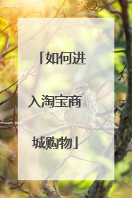 如何进入淘宝商城购物