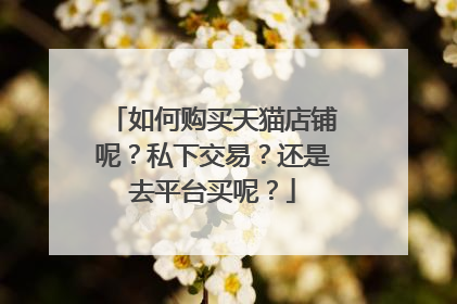 如何购买天猫店铺呢?私下交易?还是去平台买呢?