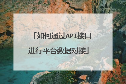如何通过API接口进行平台数据对接