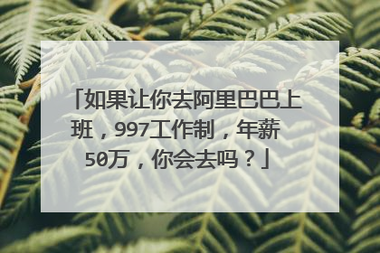 如果让你去阿里巴巴上班,997工作制,年薪50万,你会去吗?