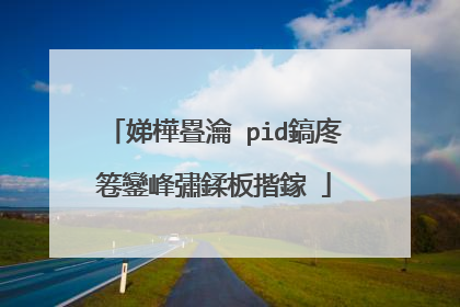娣樺疂瀹�pid鎬庝箞鑾峰彇鍒板揩鎵�