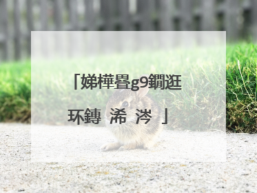 娣樺疂g9鐗逛环鏄�浠�涔�