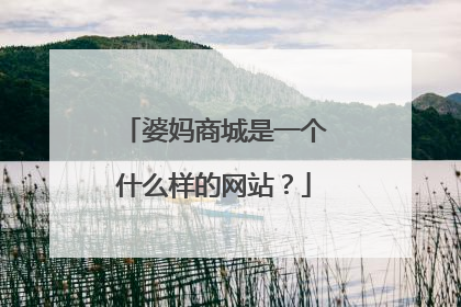 婆妈商城是一个什么样的网站?