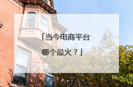 当今电商平台哪个最火?