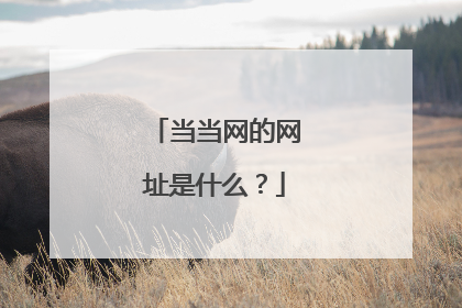 当当网的网址是什么?