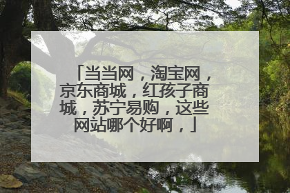 当当网,淘宝网,京东商城,红孩子商城,苏宁易购,这些网站哪个好啊,