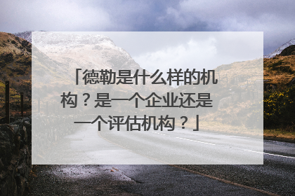 德勒是什么样的机构?是一个企业还是一个评估机构?