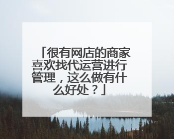 很有网店的商家喜欢找代运营进行管理,这么做有什么好处?