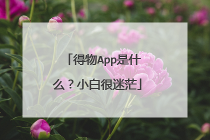 得物App是什么?小白很迷茫