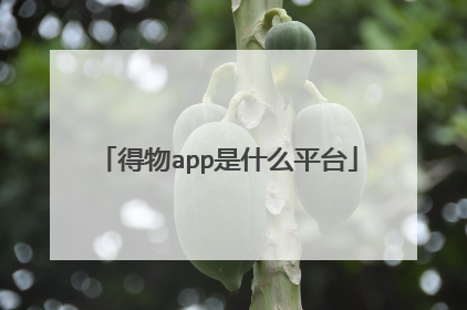 得物app是什么平台