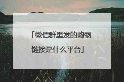 微信群里发的购物链接是什么平台