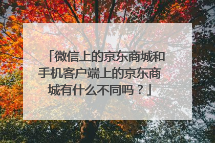 微信上的京东商城和手机客户端上的京东商城有什么不同吗?