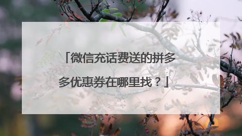 微信充话费送的拼多多优惠券在哪里找?