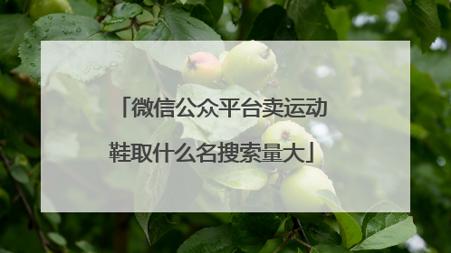 微信公众平台卖运动鞋取什么名搜索量大