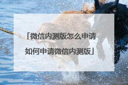 微信内测版怎么申请 如何申请微信内测版