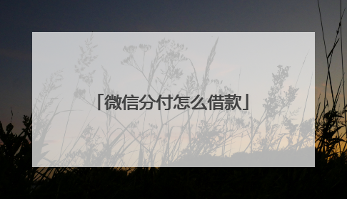 微信分付怎么借款