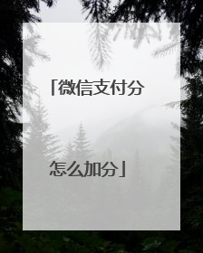 微信支付分怎么加分