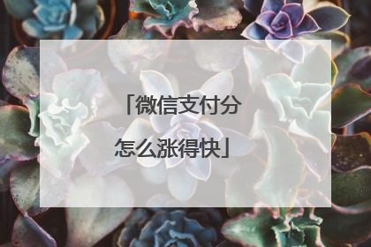 微信支付分怎么涨得快