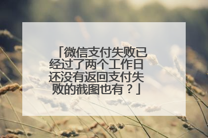 微信支付失败已经过了两个工作日还没有返回支付失败的截图也有?