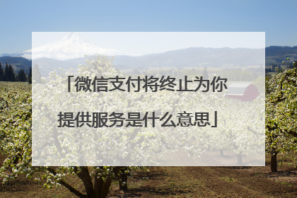 微信支付将终止为你提供服务是什么意思