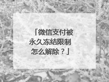 微信支付被永久冻结限制怎么解除?