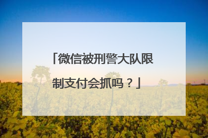 微信被刑警大队限制支付会抓吗？
