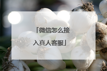 微信怎么接入真人客服