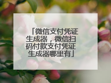 微信支付凭证生成器,微信扫码付款支付凭证生成器哪里有