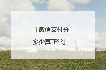 微信支付分多少算正常
