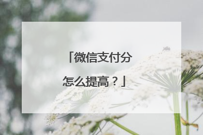 微信支付分怎么提高?
